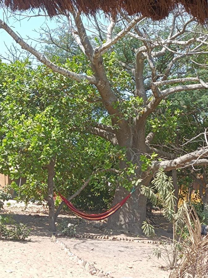 NaturUbuntu Kafountine Bagian luar foto