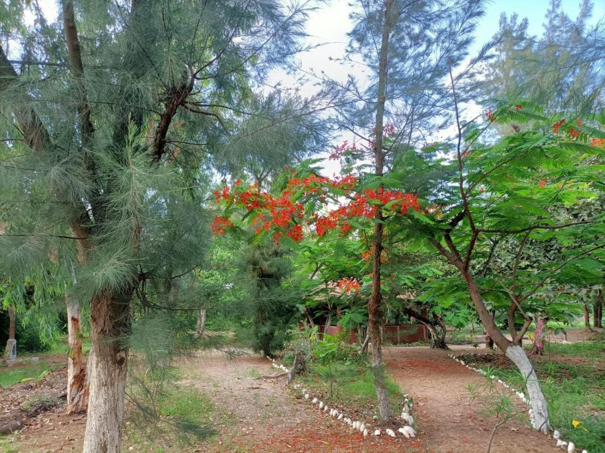 NaturUbuntu Kafountine Bagian luar foto