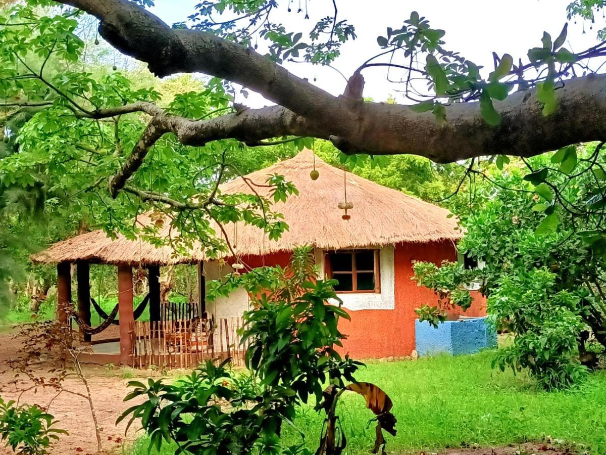 NaturUbuntu Kafountine Bagian luar foto