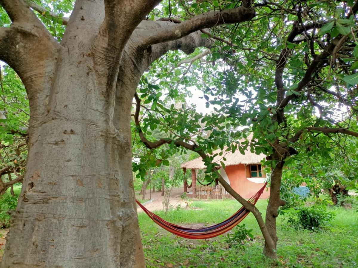 NaturUbuntu Kafountine Bagian luar foto